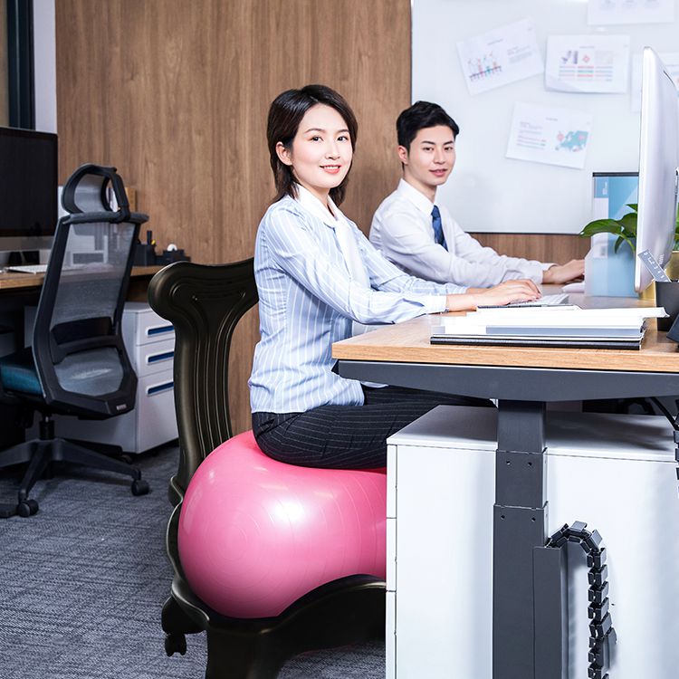 Yoga Ball Chair