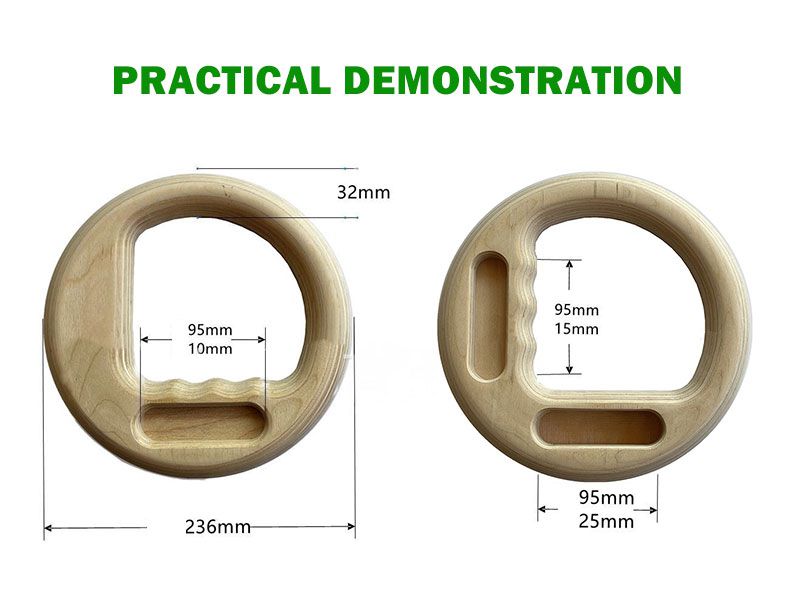 Birch Fitness Rings Gym Rings