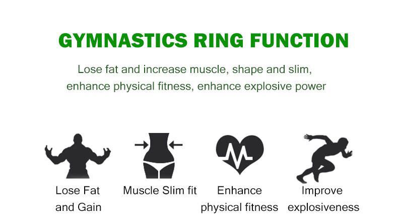 Birch Fitness Rings Gym Rings