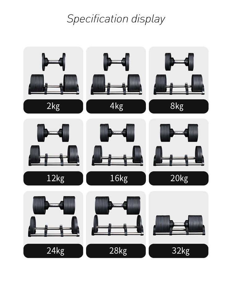 Cast Iron Adjustable Dumbbell