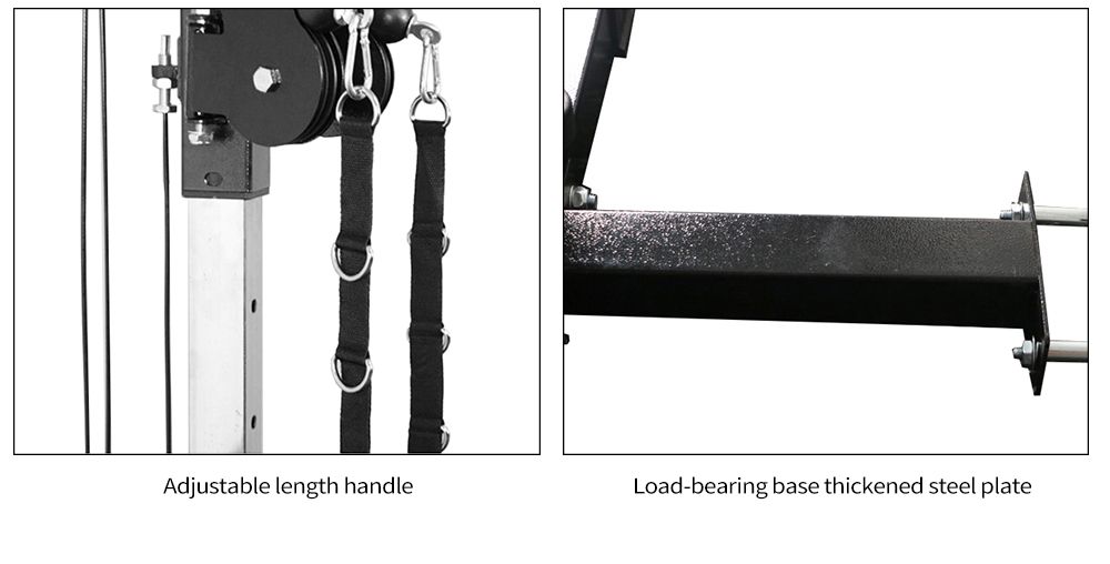 Multifunktionales Wandfliegervogel umfassendes Trainingsgerät