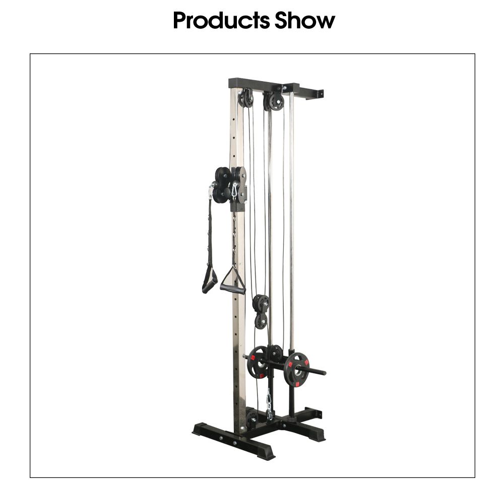 Multifunktionales Wandfliegervogel umfassendes Trainingsgerät