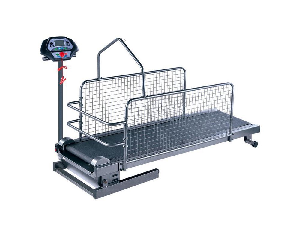 Haustier -Hunde -Laufband