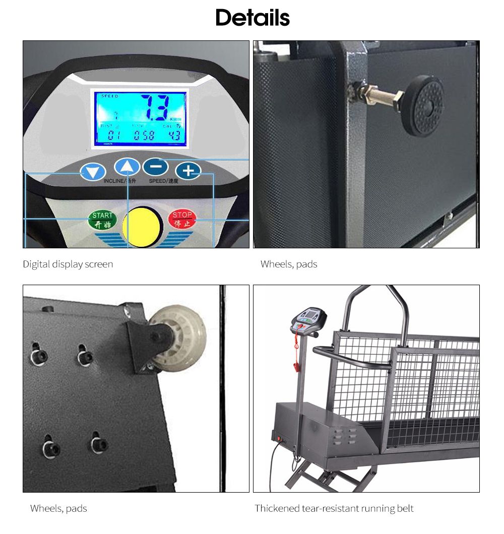 Haustier -Hunde -Laufband