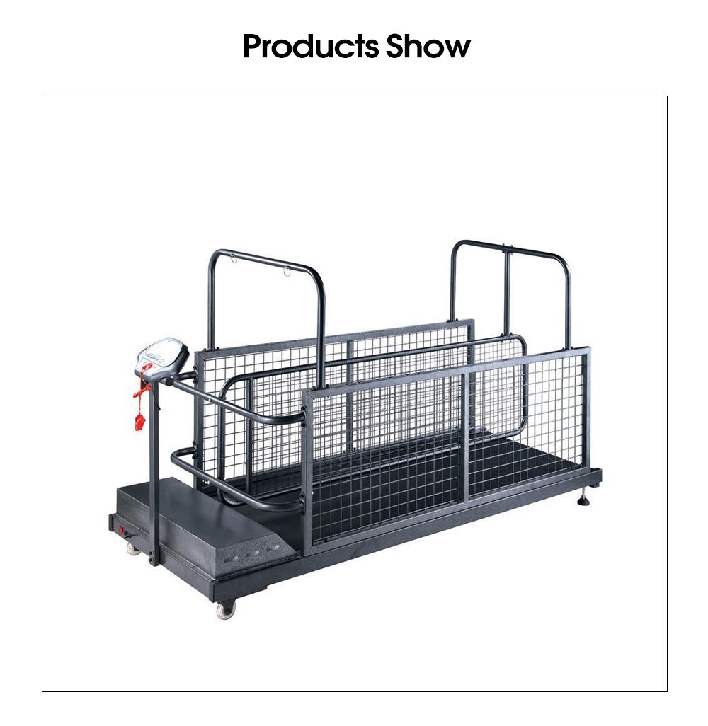 Haustier -Hunde -Laufband