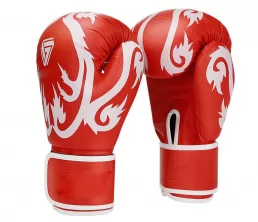 Pro -Box -Trainingshandschuhe