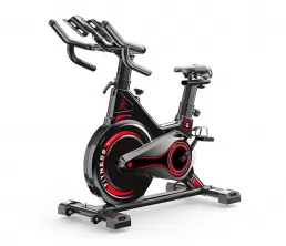 MAGNETISCHER LEBENSPRINGING BIKE
