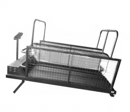 Bester Hunde Laufmaschine Laufband