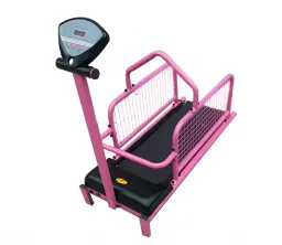 Haustier -Hunde -Lauf -Trainingsmaschine