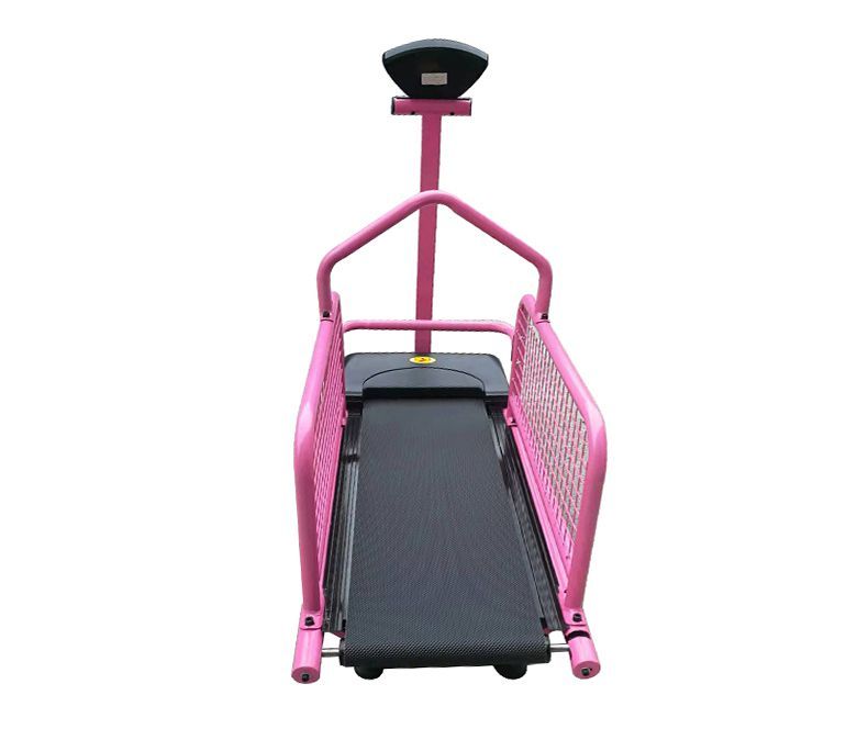 Haustier -Hunde -Lauf -Trainingsmaschine